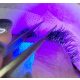All about LED-Lashes